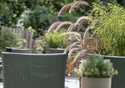 Grauer Stuhl aus Rattan mit Pflanzen im Hintergrund auf einer Terrasse.