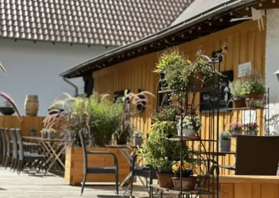 Terrasse mit Pflanzen in Töpfen und Sitzgelegenheiten aus Holz und Metall.